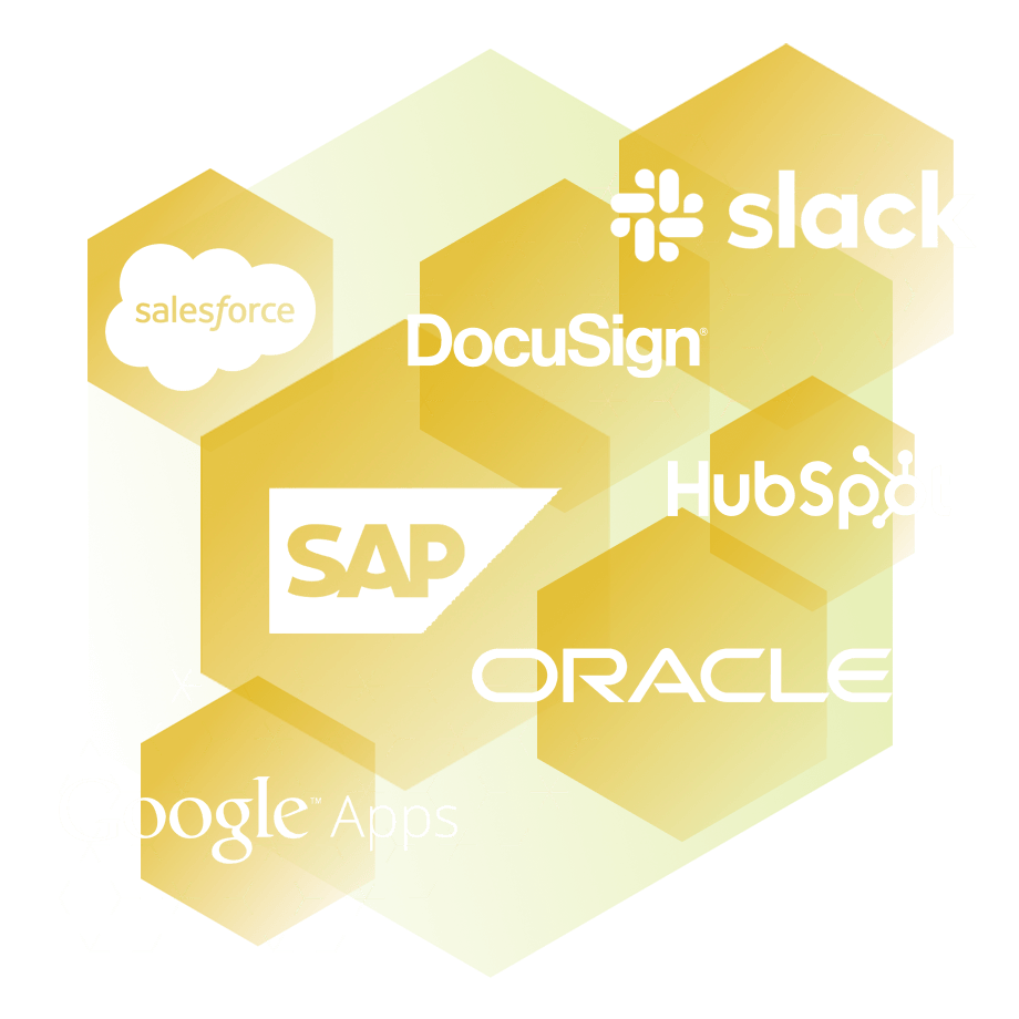 ERP and MarTech integration