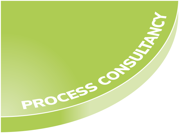 About our Process Consultancy